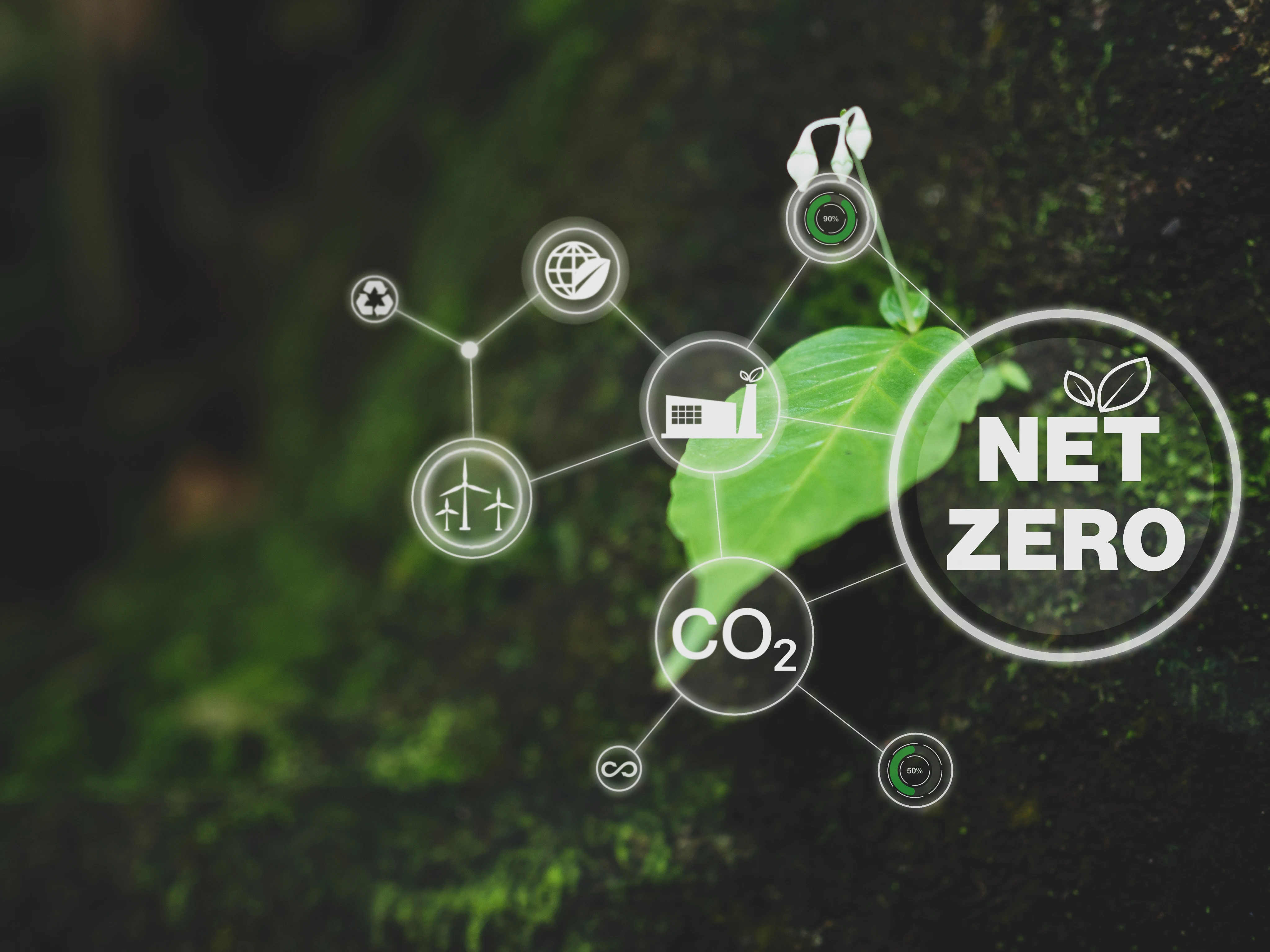 Measurement using TruCount